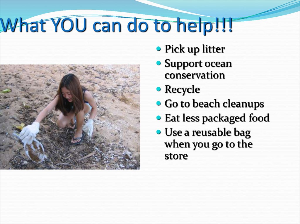 What YOU can do to help!!!