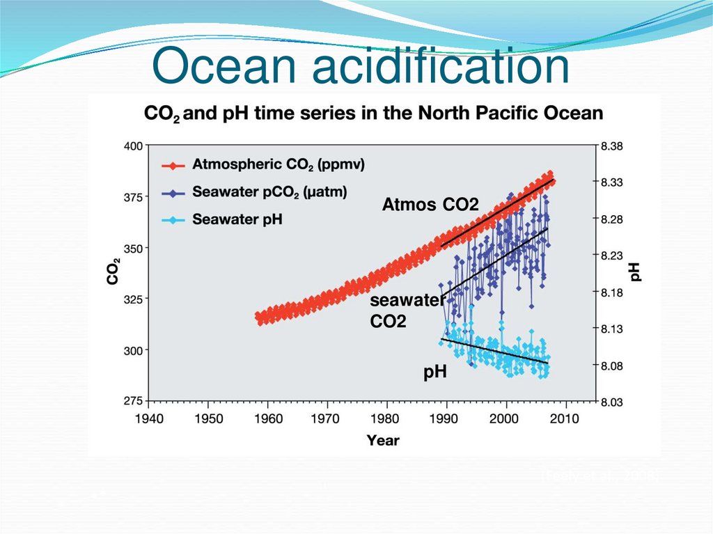 Ocean acidification