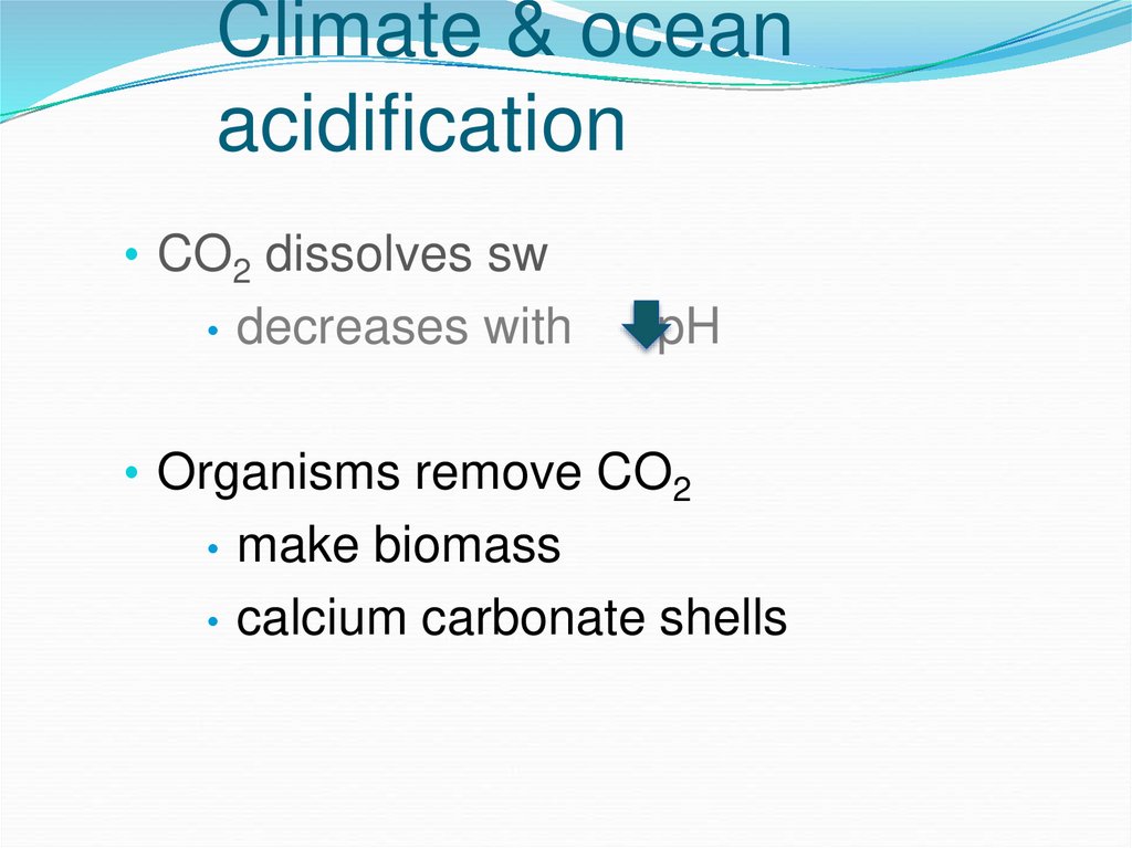 Climate & ocean acidification