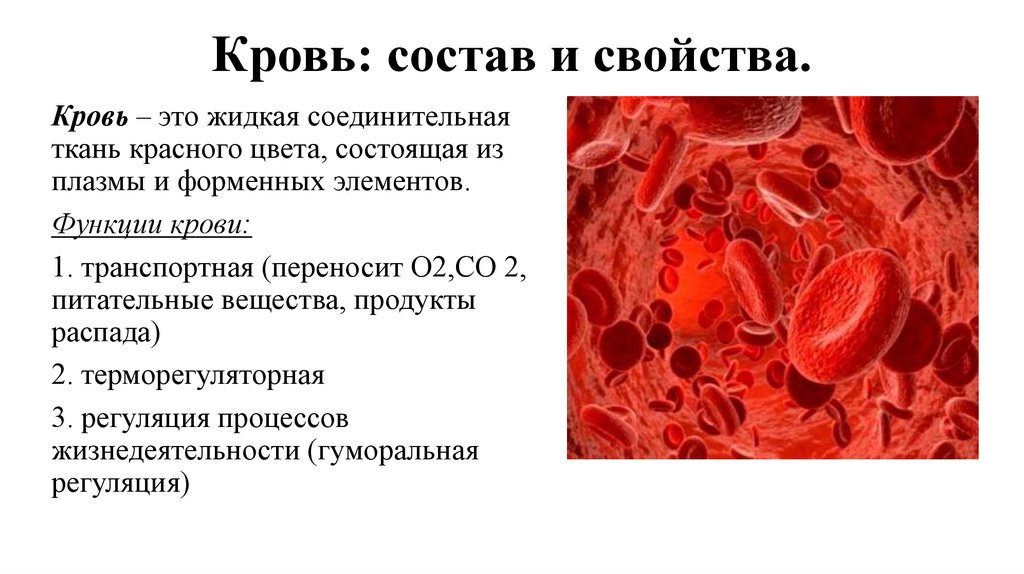 Кровь: состав и свойства.