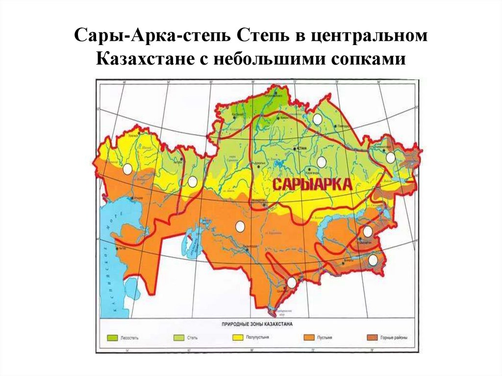 Сары-Арка-степь Степь в центральном Казахстане с небольшими сопками