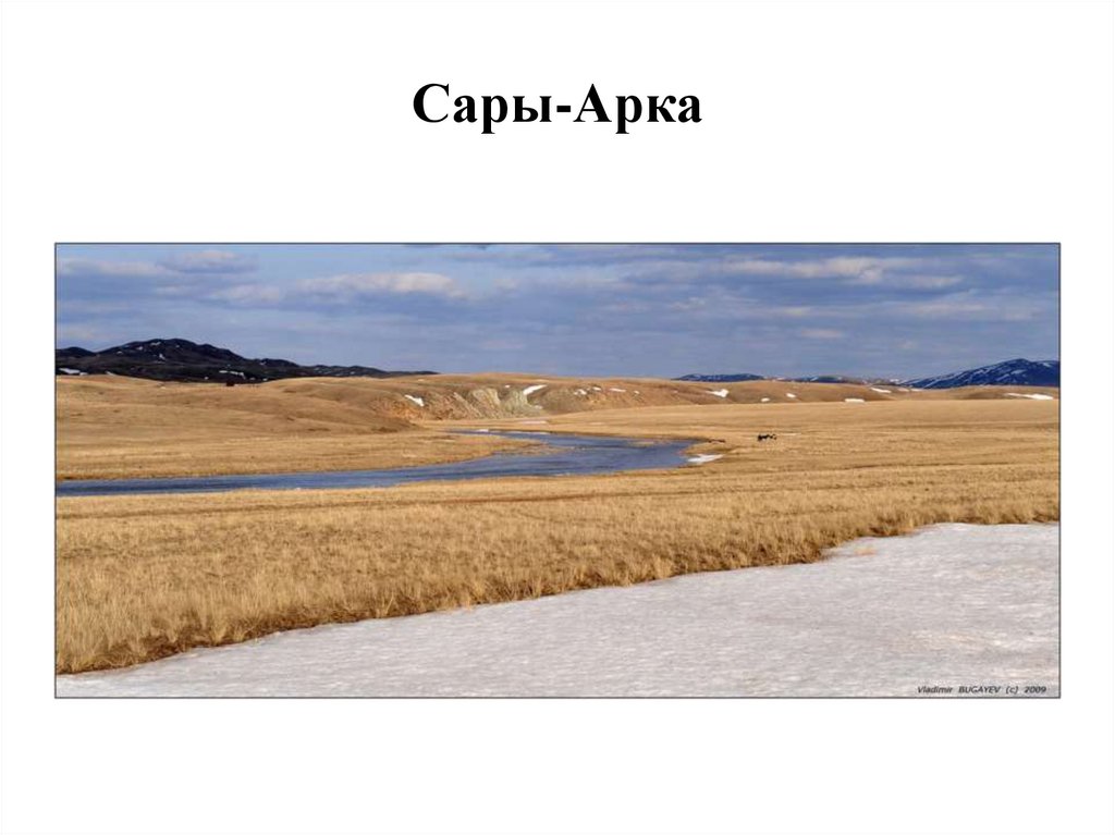 Сары-Арка