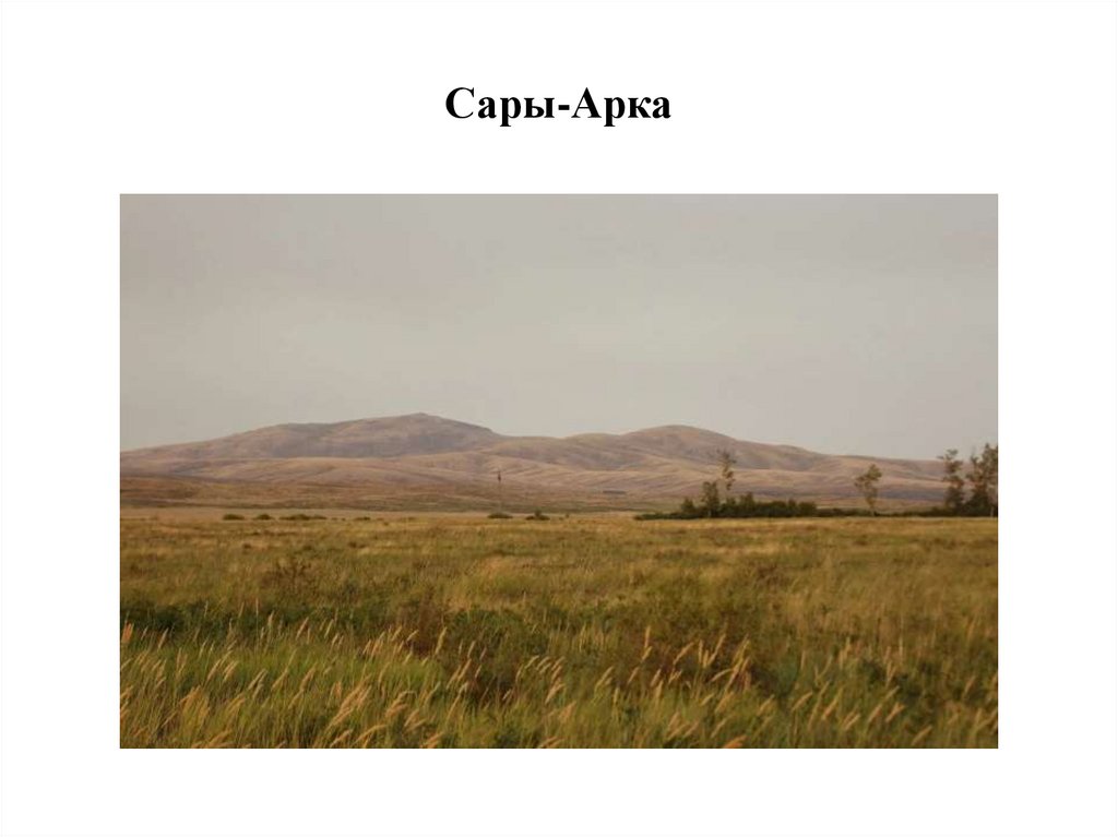 Сары-Арка
