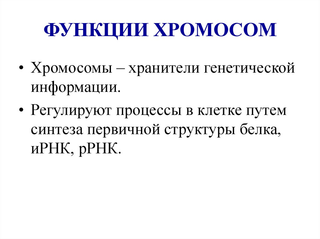 ФУНКЦИИ ХРОМОСОМ