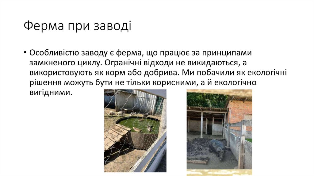 Ферма при заводі