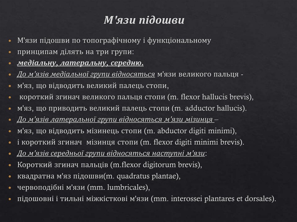 М'язи підошви