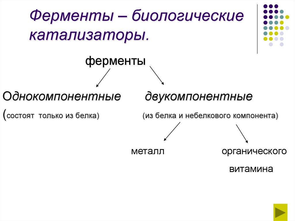 Ферменты – биологические катализаторы.