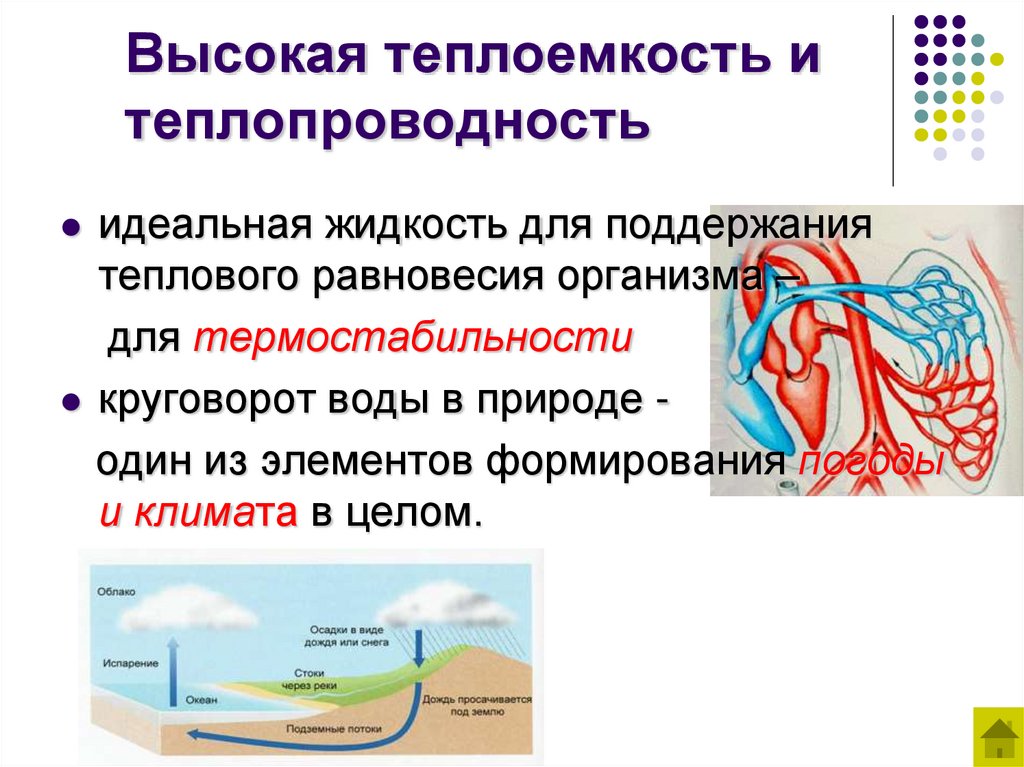 Высокая теплоемкость и теплопроводность