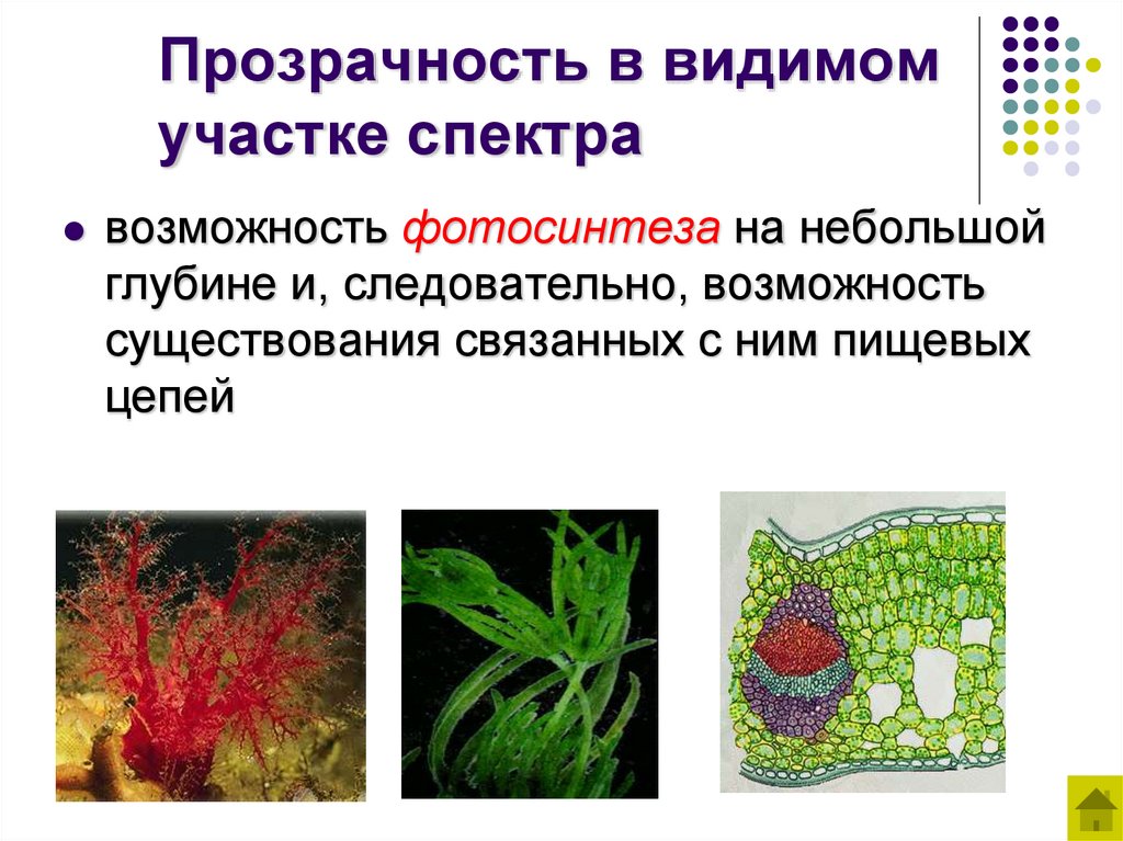 Прозрачность в видимом участке спектра