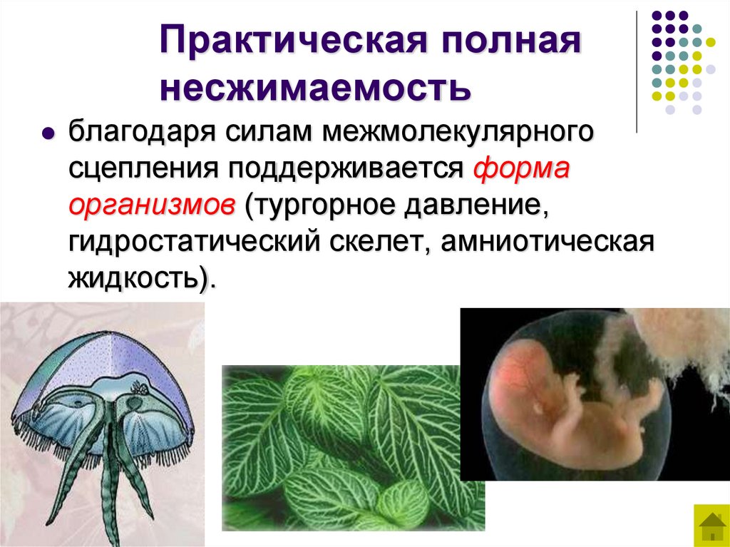 Практическая полная несжимаемость