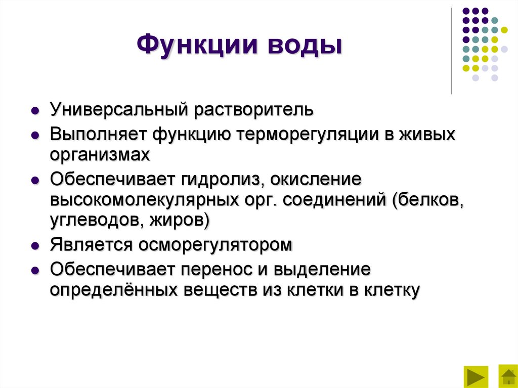 Функции воды