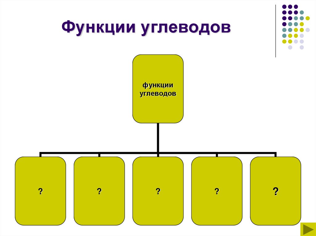 Функции углеводов