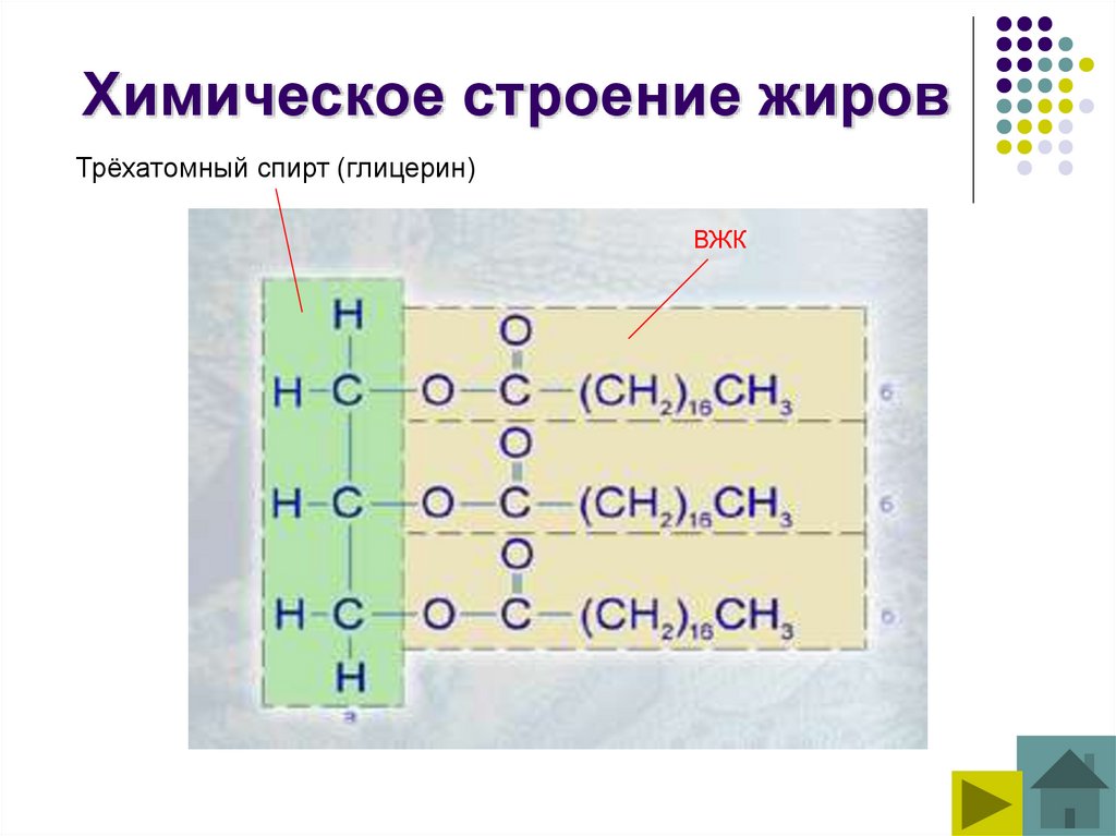 Химическое строение жиров