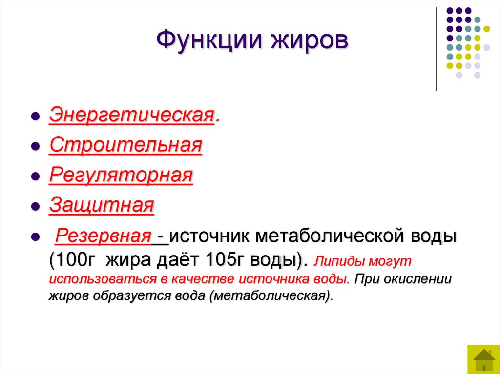 Функции жиров