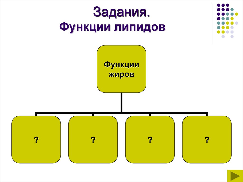 Функции липидов