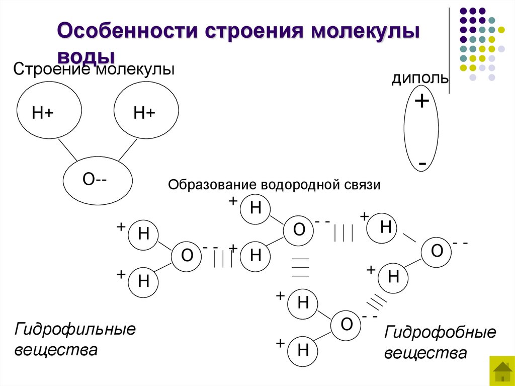 Особенности строения молекулы воды