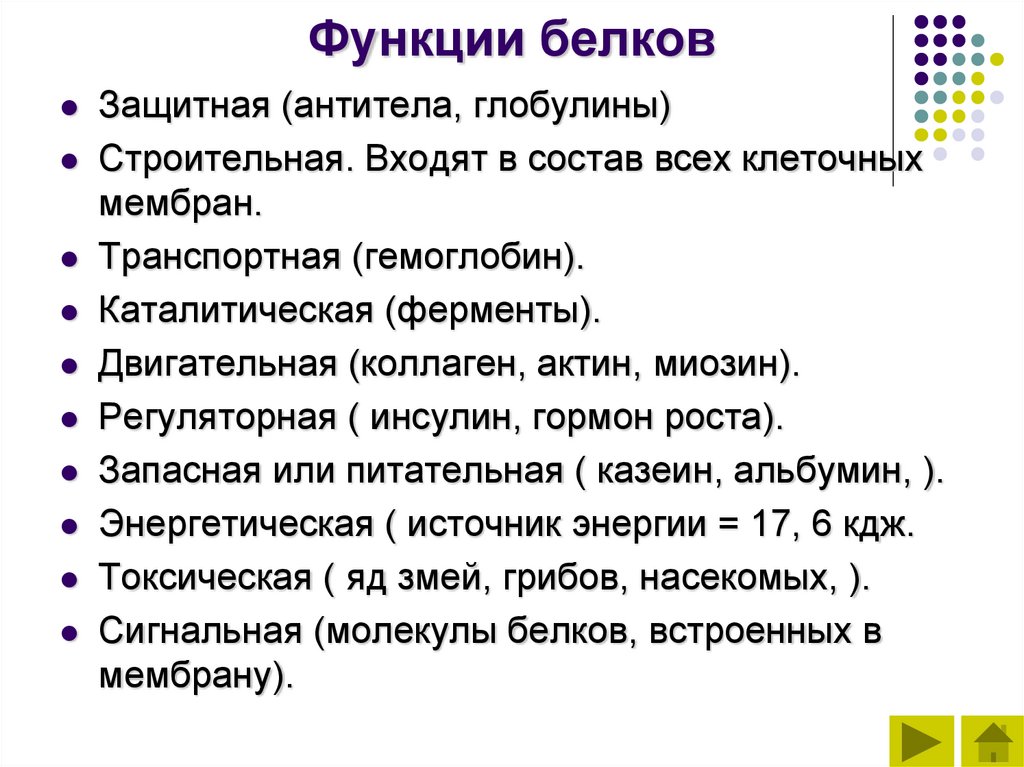 Функции белков