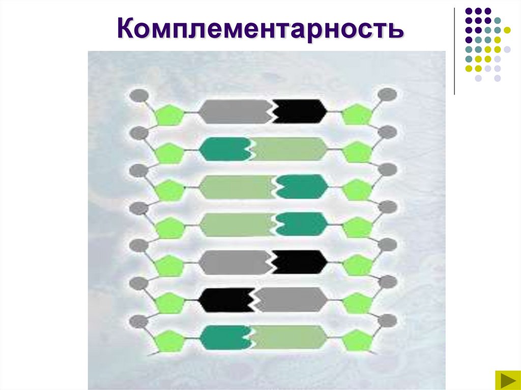 Комплементарность