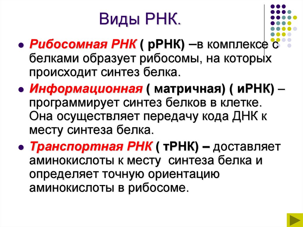 Виды РНК.