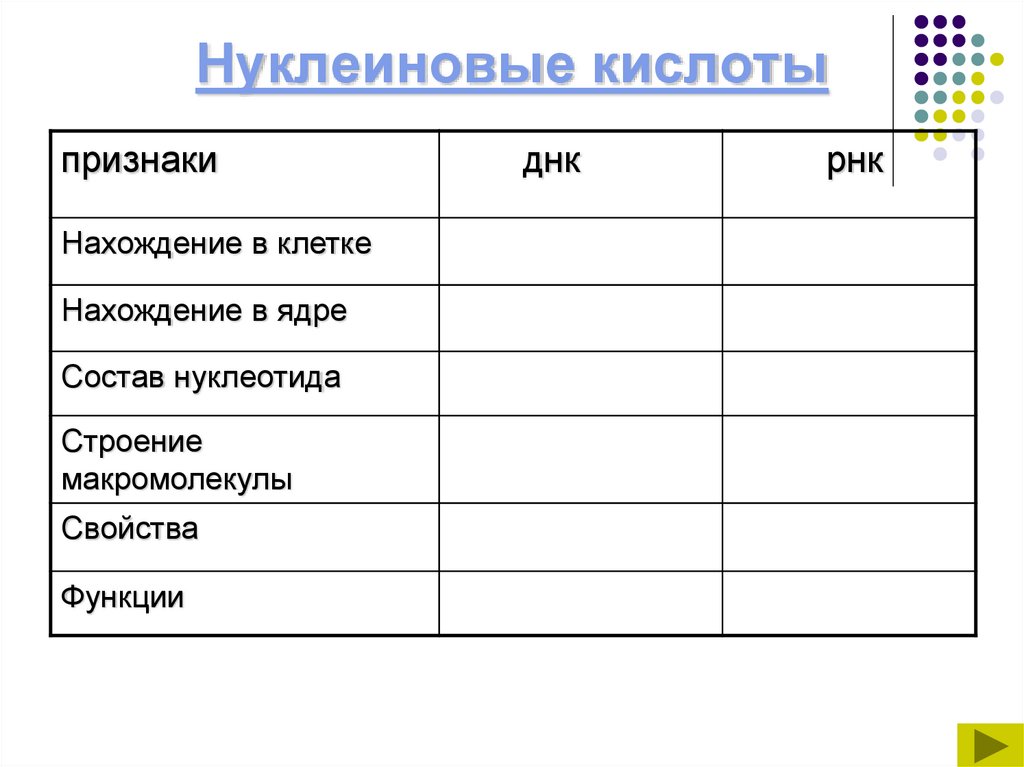 Нуклеиновые кислоты