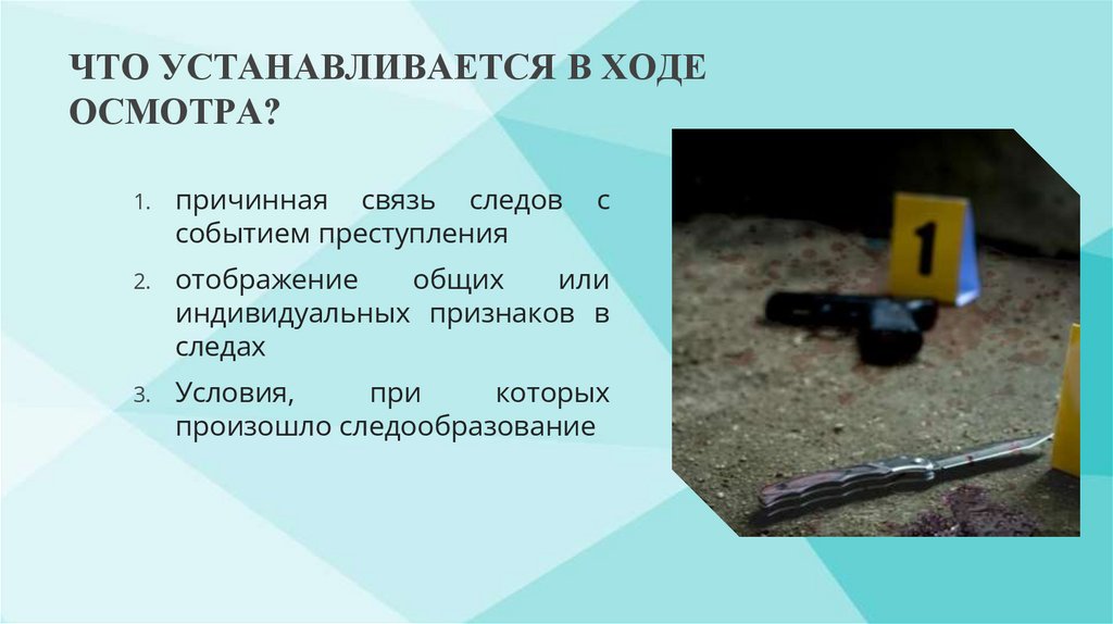 ЧТО УСТАНАВЛИВАЕТСЯ В ХОДЕ ОСМОТРА?