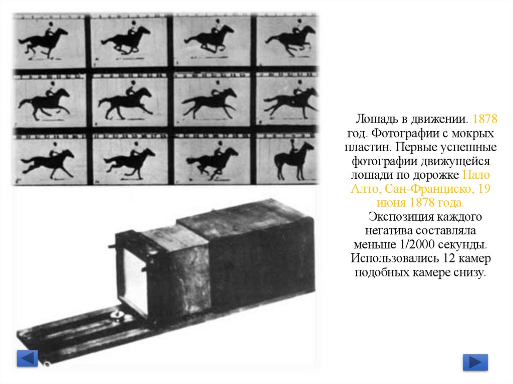Лошадь в движении. 1878 год. Фотографии с мокрых пластин. Первые успешные фотографии движущейся лошади по дорожке Пало Алто,