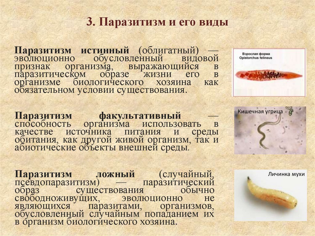 3. Паразитизм и его виды