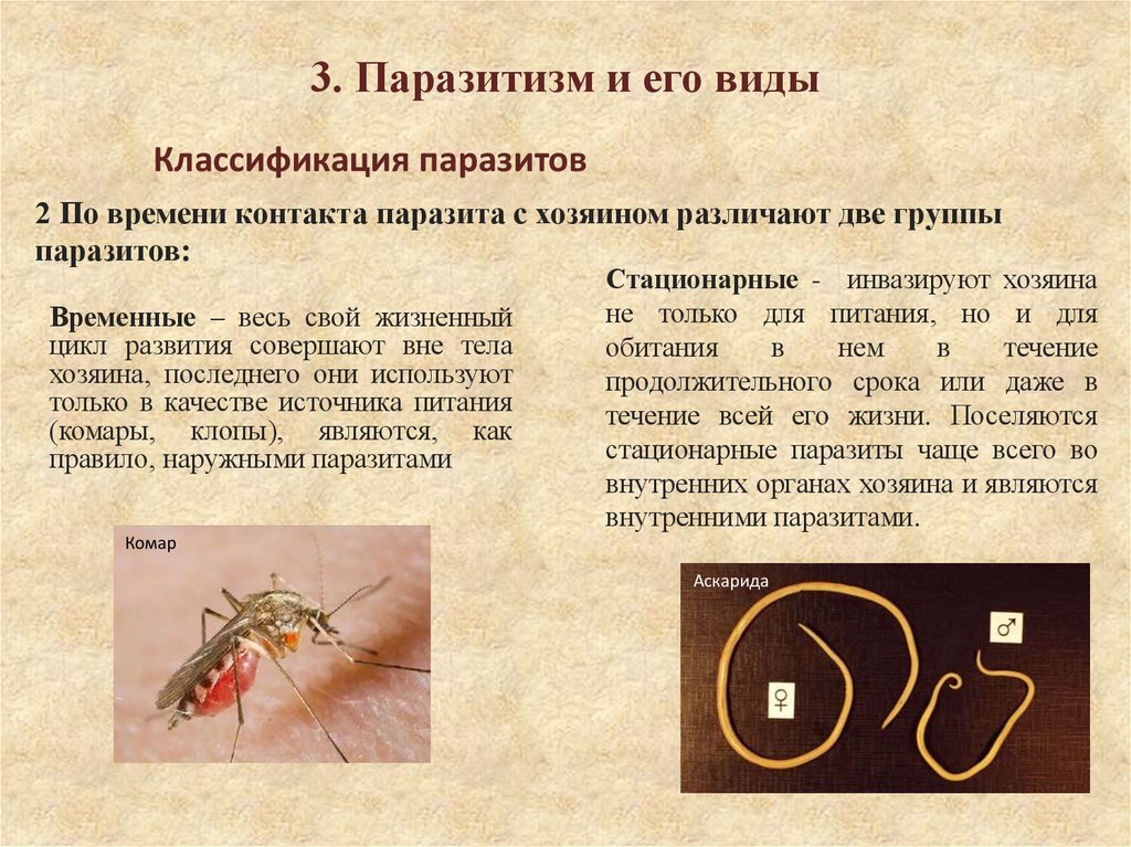 3. Паразитизм и его виды
