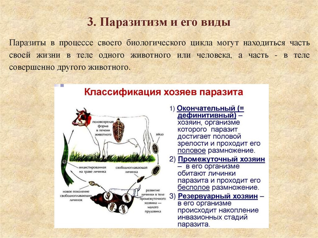 3. Паразитизм и его виды