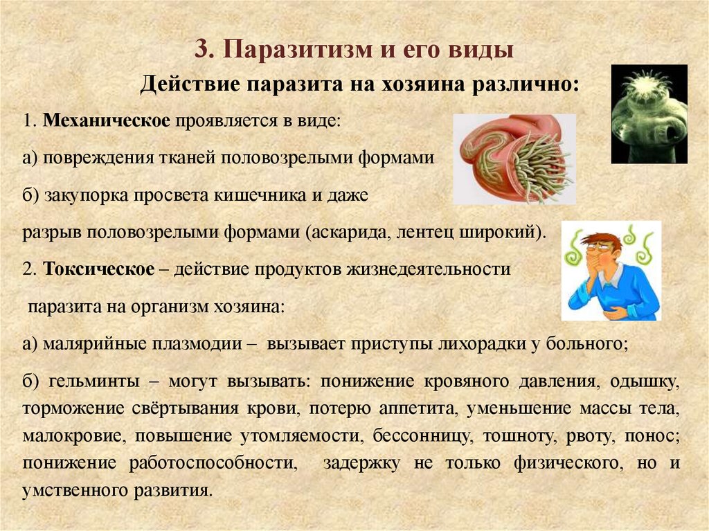 3. Паразитизм и его виды