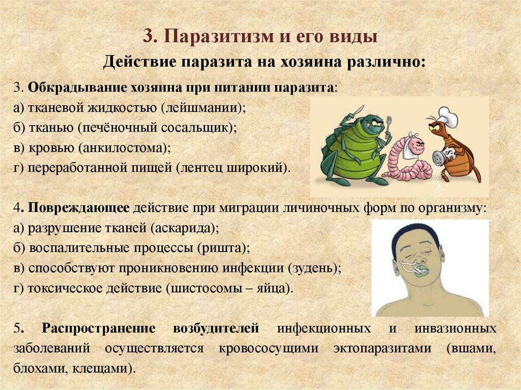 3. Паразитизм и его виды