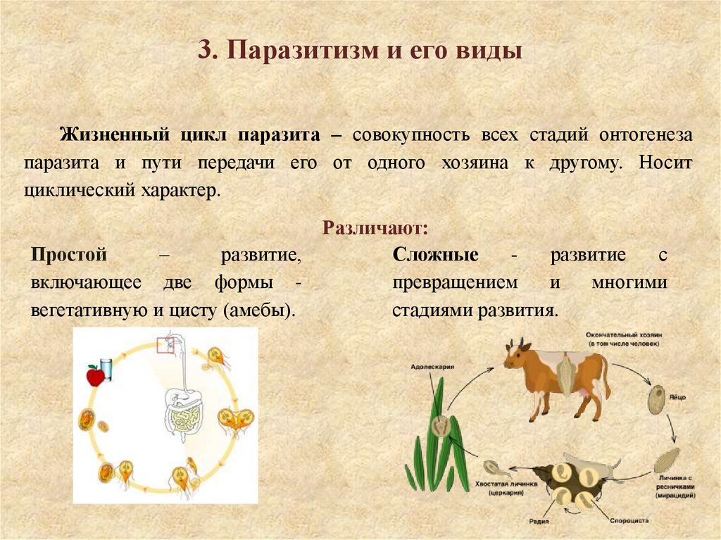 3. Паразитизм и его виды