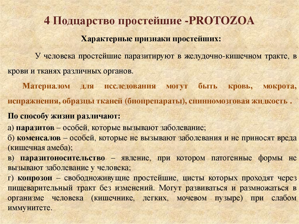 4 Подцарство простейшие -PROTOZOA