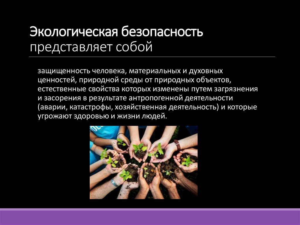 Экологическая безопасность представляет собой