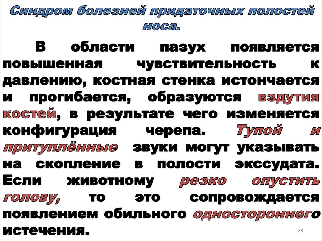 Синдром болезней придаточных полостей носа.
