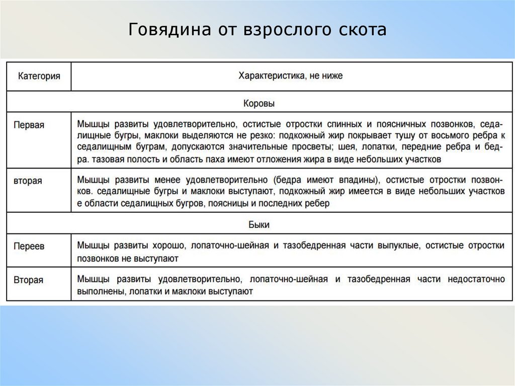 Говядина от взрослого скота