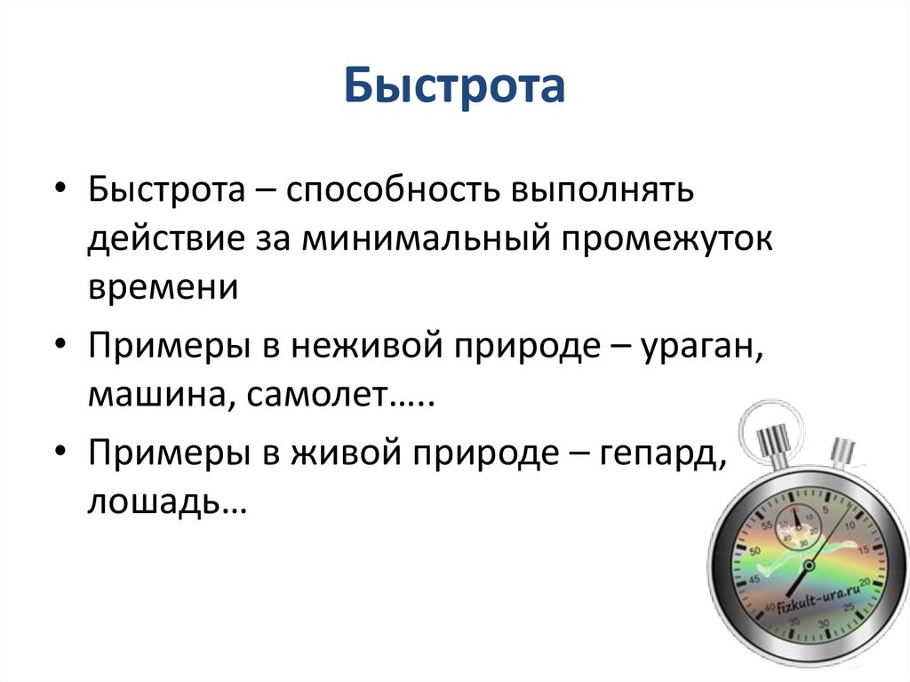Быстрота