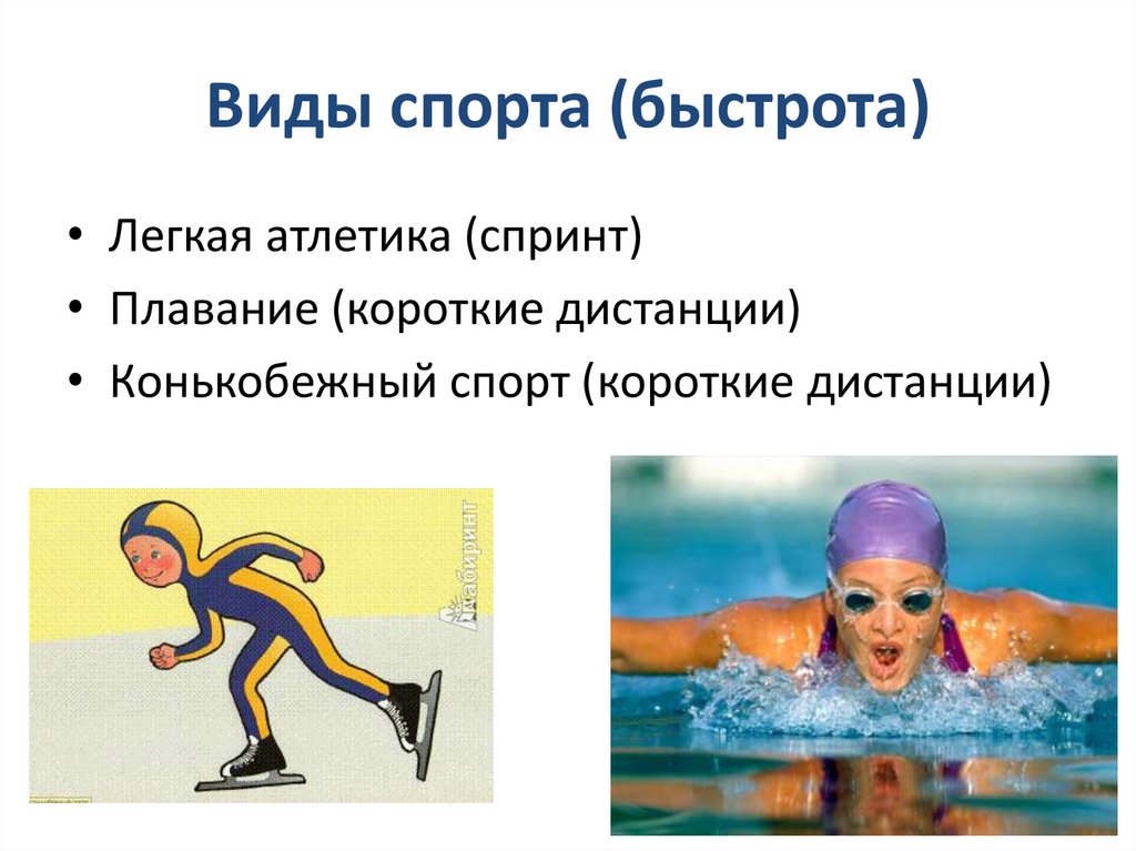 Виды спорта (быстрота)