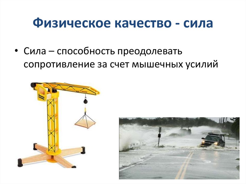 Физическое качество - сила