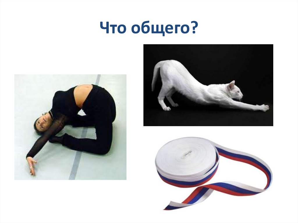 Что общего?