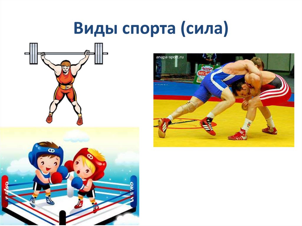 Виды спорта (сила)