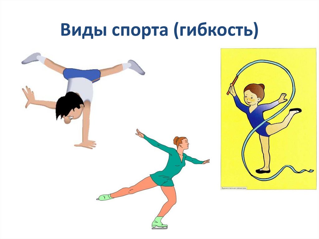 Виды спорта (гибкость)