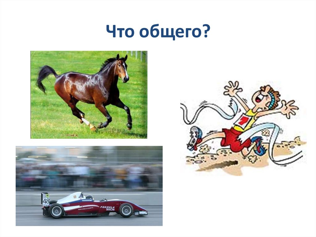 Что общего?