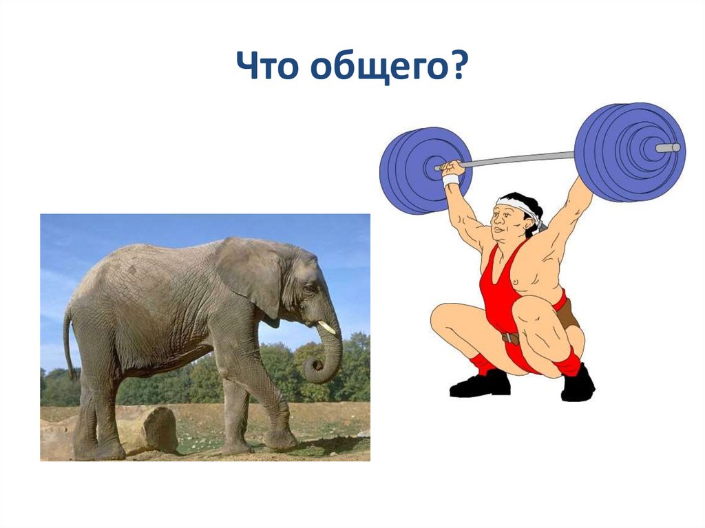 Что общего?
