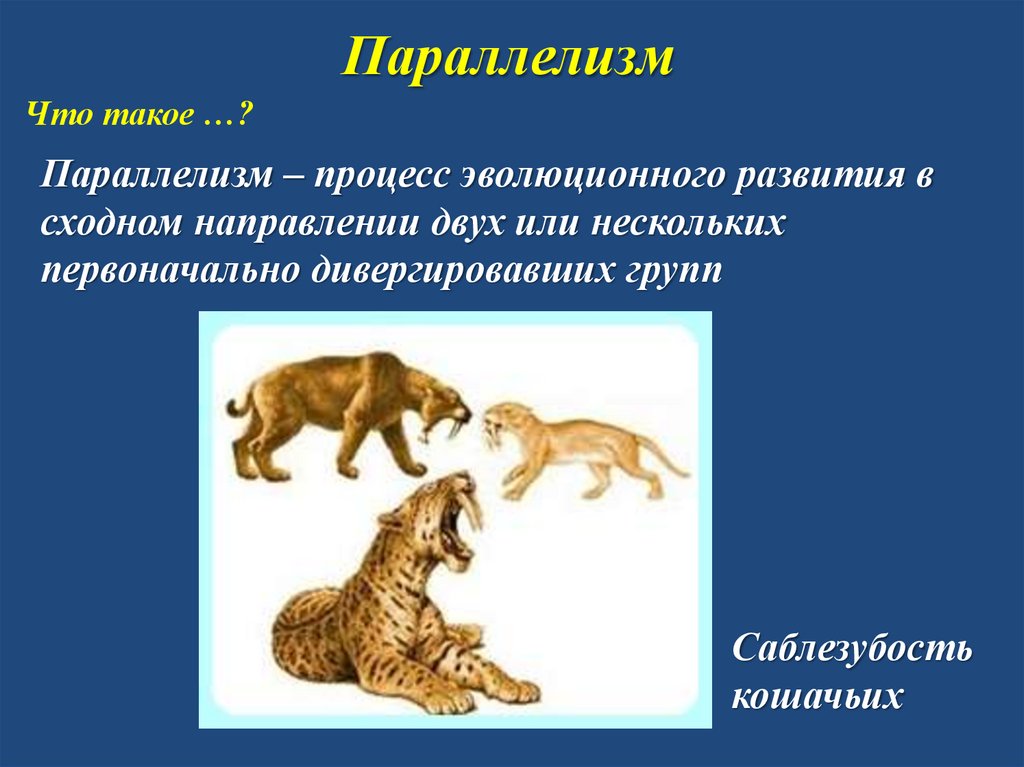 Параллелизм