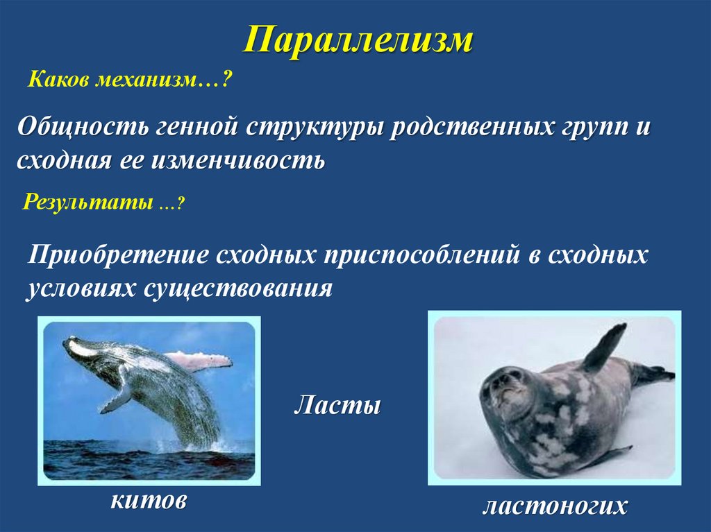 Параллелизм