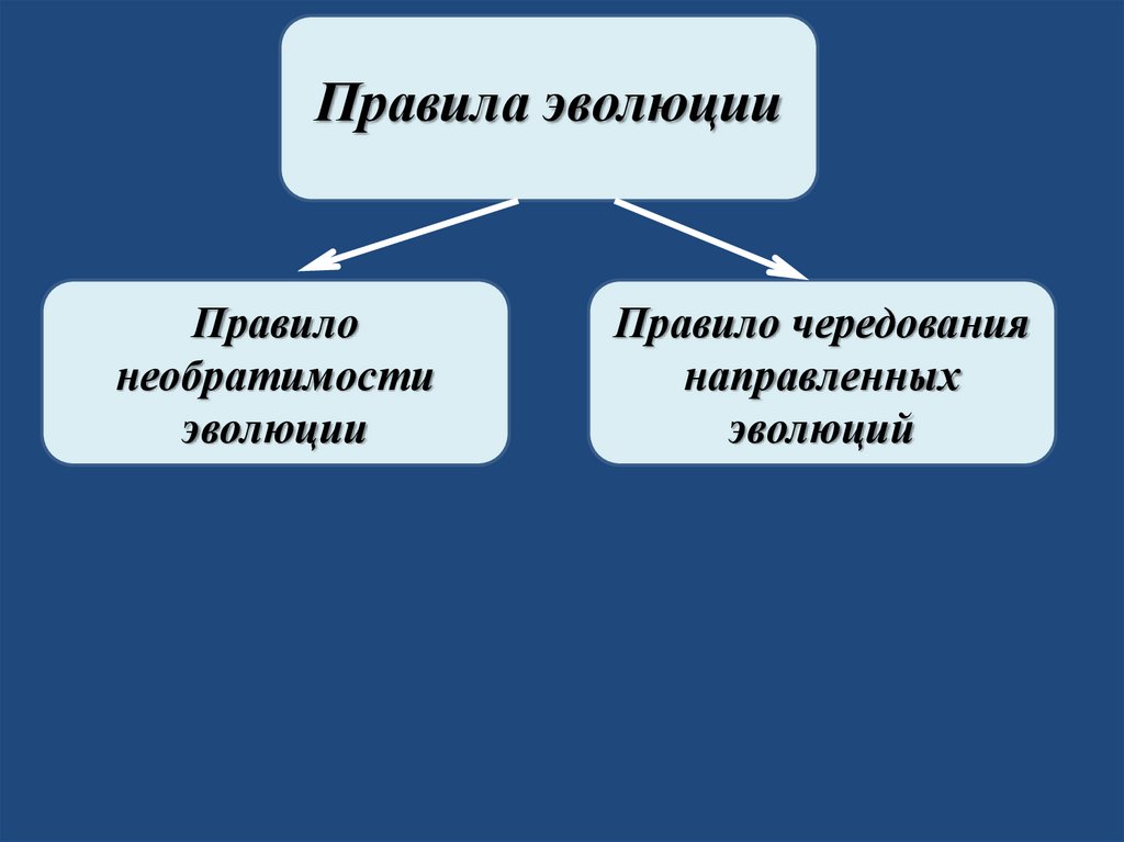 Правила эволюции