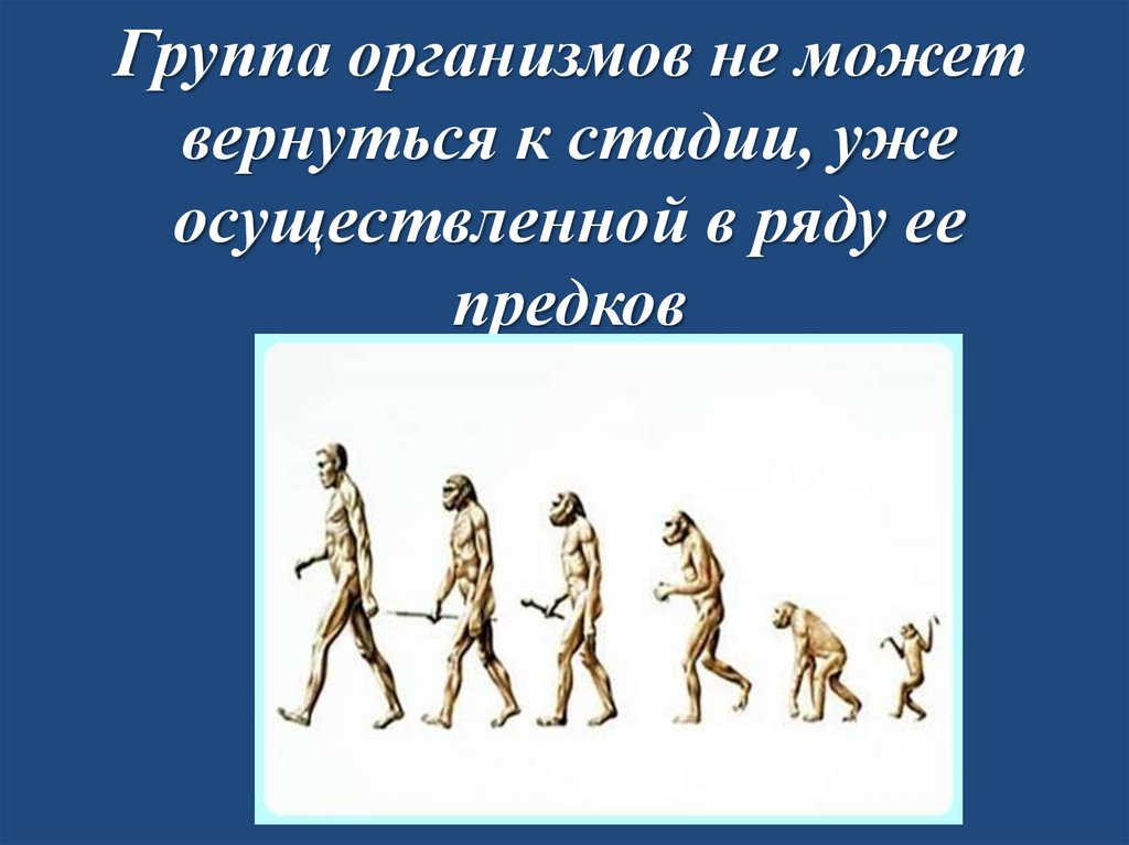 Группа организмов не может вернуться к стадии, уже осуществленной в ряду ее предков