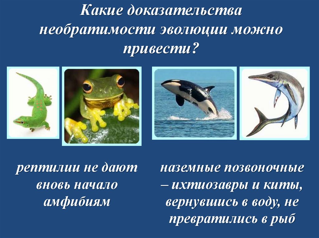 Какие доказательства необратимости эволюции можно привести?