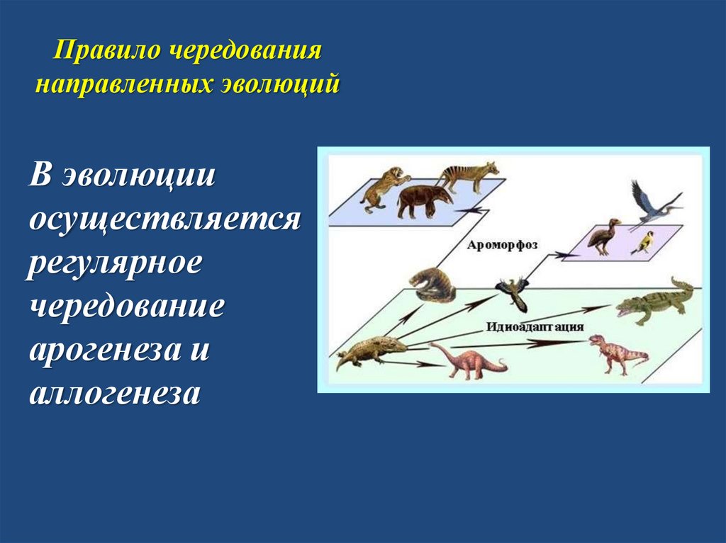 Правило чередования направленных эволюций